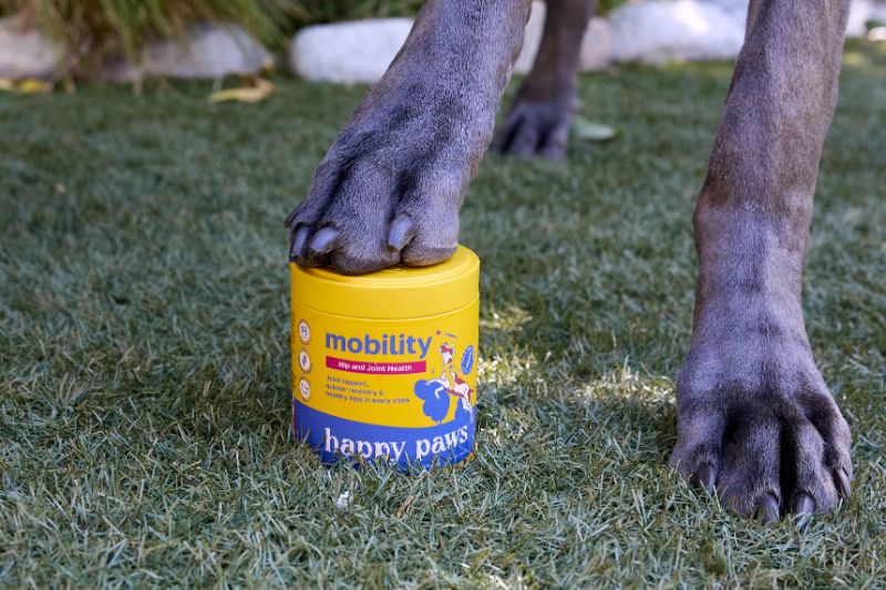 Mobility Dog Supplement close up