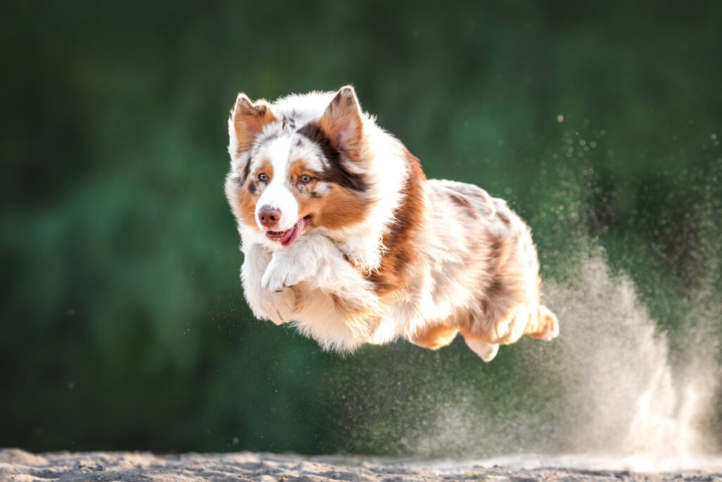 AdobeStock
