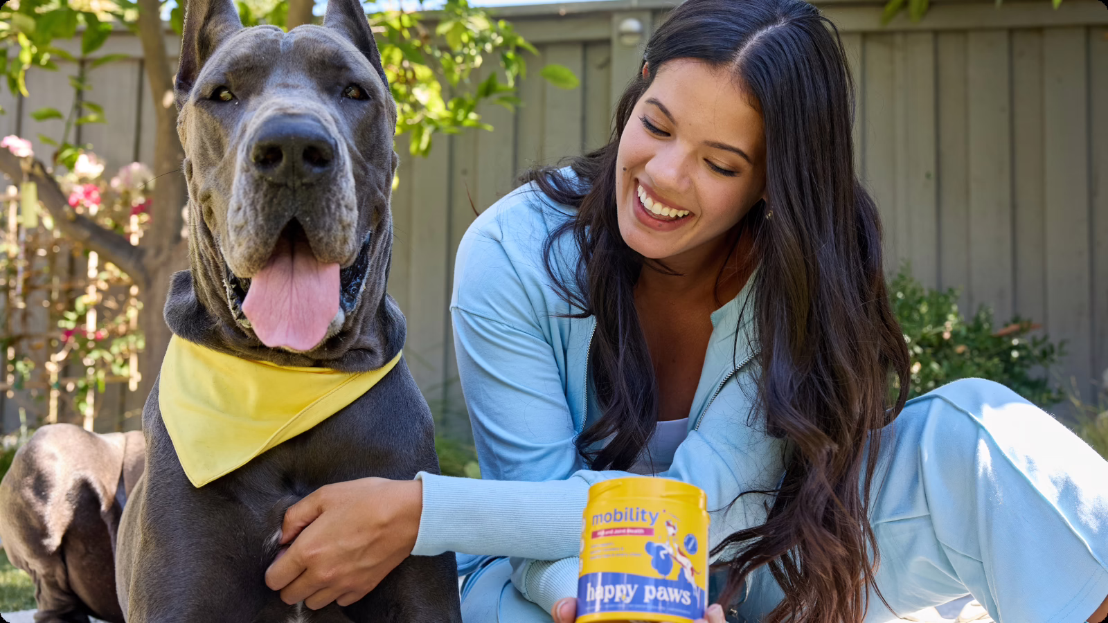 Joint Pain in Dogs