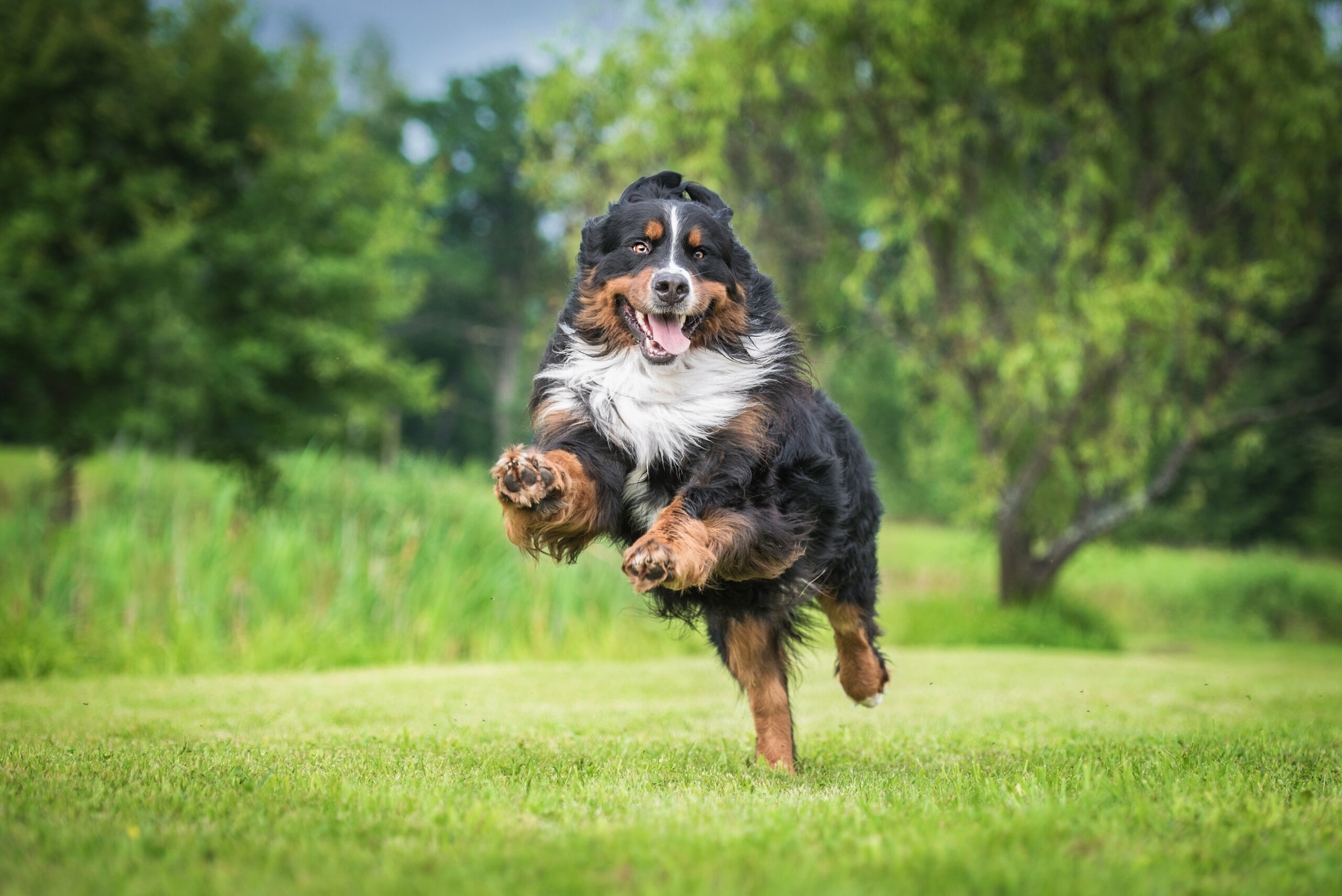 AdobeStock